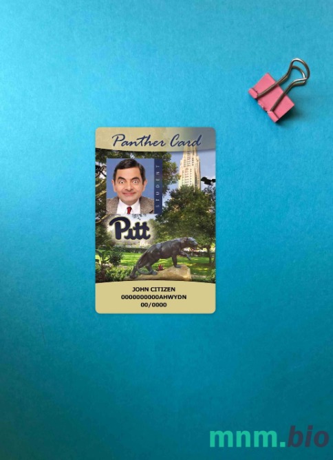 USA Uniwersytet w Pittsburghu karta studencka Panther – wygląd fotograficzny, wygląd skanu i zdjęcie, 2 w 1